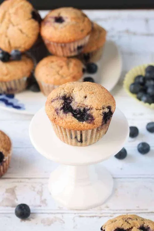 Blueberry Bliss Muffins