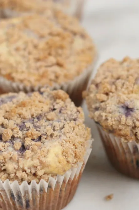 Blueberry Muffin Recipe