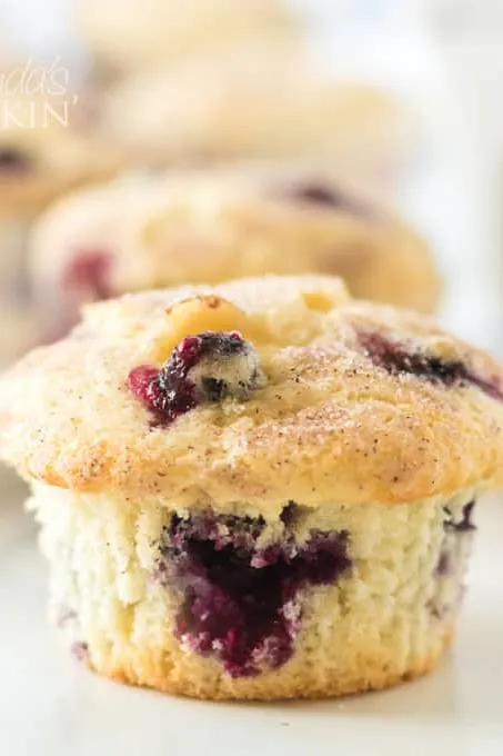 Blueberry Muffins