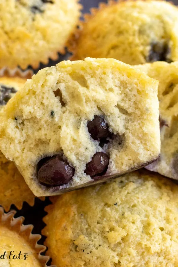 Blueberry Protein Muffins