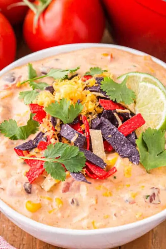 Chicken Enchilada Soup