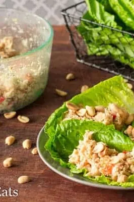 Easy Thai Chicken Salad Lettuce Wraps