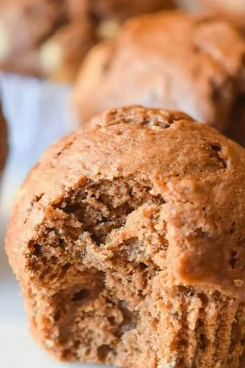 Greek Yogurt Chocolate Muffins