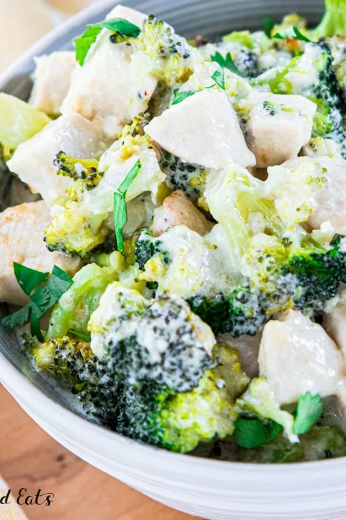 Keto Chicken Alfredo