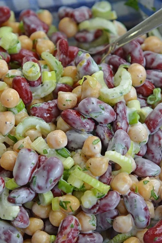 Kidney Bean Salad