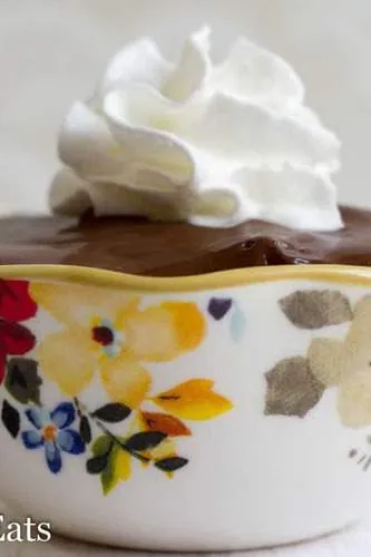 Rich Chocolate Pudding