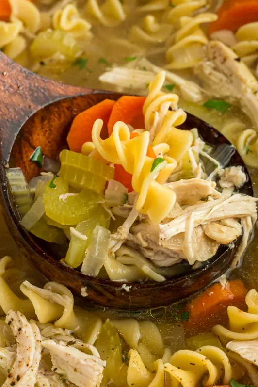 Slow Cooker Chicken Noodle Soup Recipe