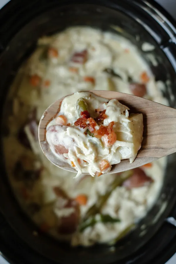 Slow Cooker Creamy Chicken Stew Recipe