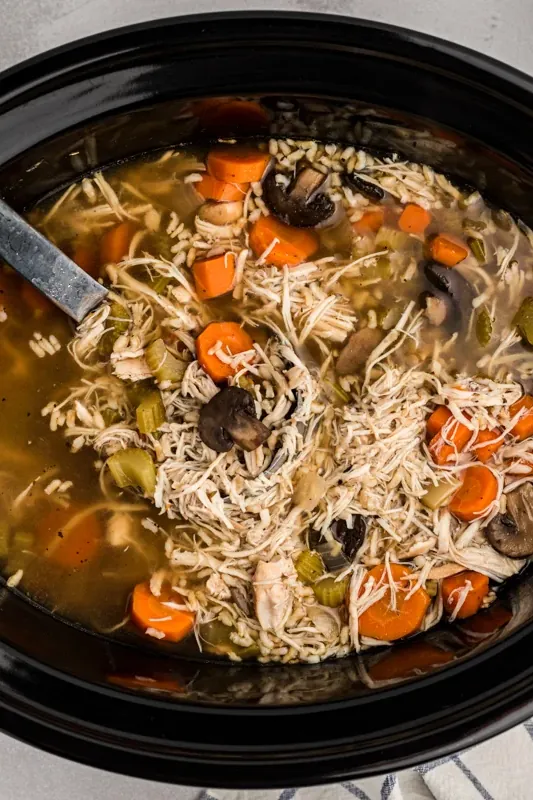 Slow Cooker Turkey and Rice Soup