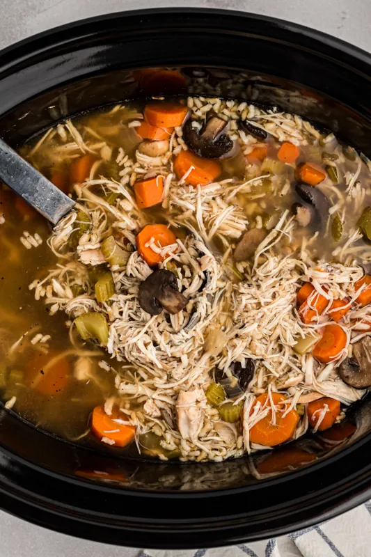 Slow Cooker Turkey and Rice Soup