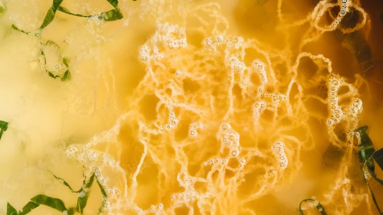 Egg Drop Soup - Featured