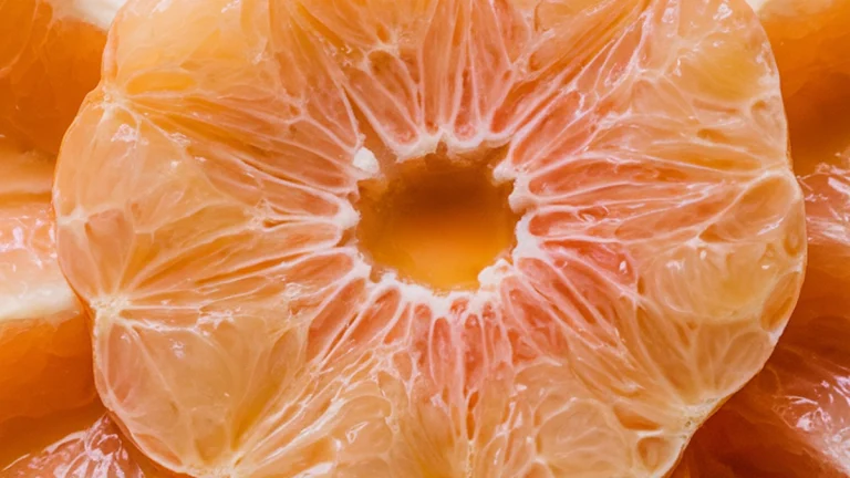 Grapefruit Pie - Featured