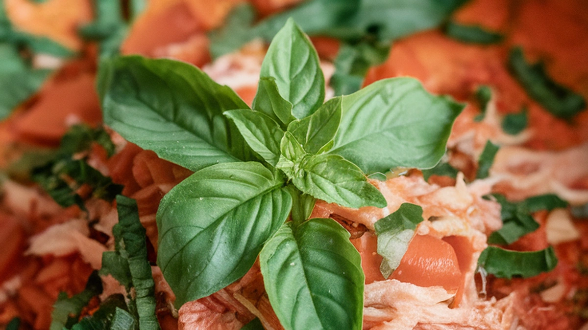 Garden Egg Stew - Featured