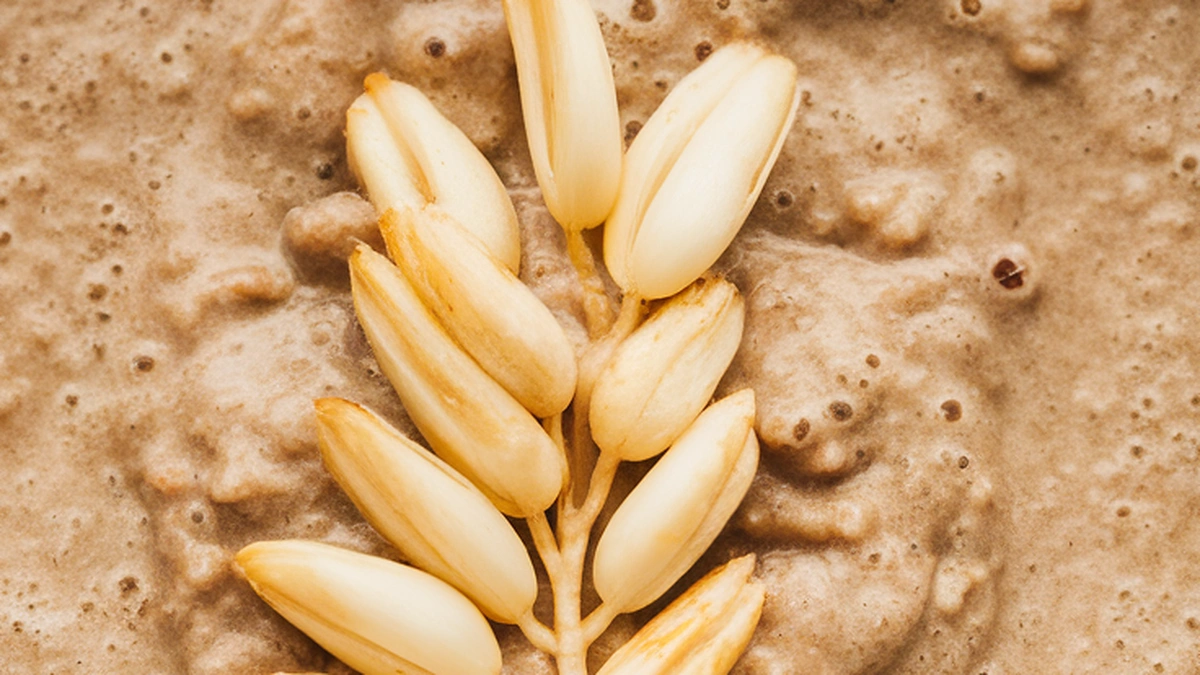 Kunun Tamba (Finger Millet Porridge) - Featured